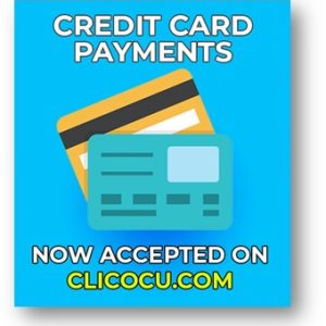 Online credit card payment
