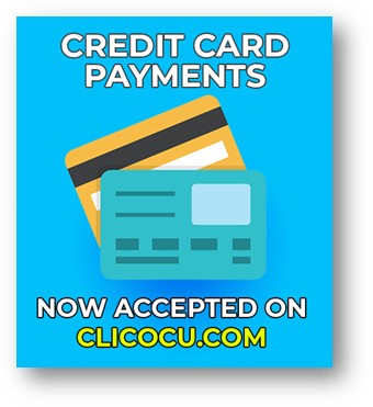 Online credit card payment